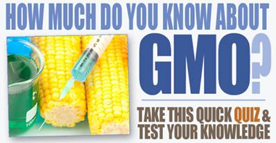 GMO Quiz
