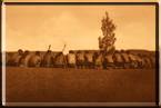Arikara medicine fraternity - The prayer 1908 by Edward Curtis - Click to see Enlarged View