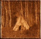 A Chipewyan tipi among the aspen 1928 by Edward Curtis - Click to see Large View